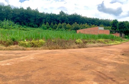 Bán 2 sổ (10x46=462m2) sát vách KCN, Góc Ngã 3, dân đông, gần thị trấn, Cụm KDC, Trường Học