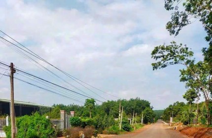 Rước lộc 50 Triệu chỉ còn 260tr cho miếng đất (5x55=275m2) trung tâm thị xã, gần trường, chợ, QL13
