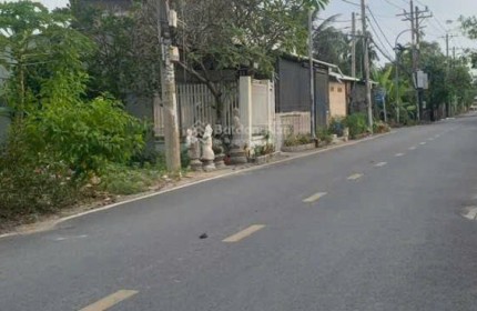 BÁN ĐẤT (50x47) 3MT NHỊ BÌNH 8, CÁCH BÙI CÔNG TRỪNG 200M, HÓC MÔN GIÁ 25 TỶ