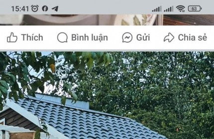 HOT HOT - CẦN BÁN LÔ ĐẤT ĐẸP TẶNG KÈM QUÁN CÀ PHÊ SIÊU ĐẸP Phường 3 Thành phố Đà Lạt, Lâm Đồng