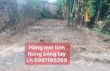 LOANH QUANH GIÁ CHƯA ĐẾN TỶ DT 77,9  M FUN THỔ CƯ TẠI THÁI LAI MINH TRÍ TIỆN ÍCH TRANF VIỀN