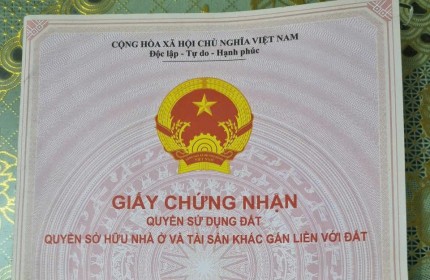 Chính Chủ Cần Bán Đất Dịch Vụ Thăng Long 9, Lai Xá, Kim Chung, Hoài Đức, Hà Nội