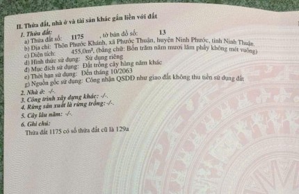 Chính Chủ Cần Bán Gấp Đất CLN Tại Xã Phước Thuận, Ninh Phước, Ninh Thuận