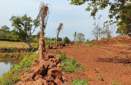 ĐẤT VIEW RUỘNG, ÔM SUỐI, DIỆN TÍCH LỚN - GIÁ HỜI - PHƯỜNG EA TAM, BMT