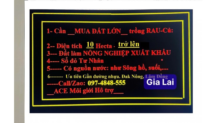 CẦN TÌM MUA ĐẤT LỚN: 10 (HECTA) - 300 (HECTA) QUANH KHU VỰC TP GIA NGHĨA. LH:0974848555.