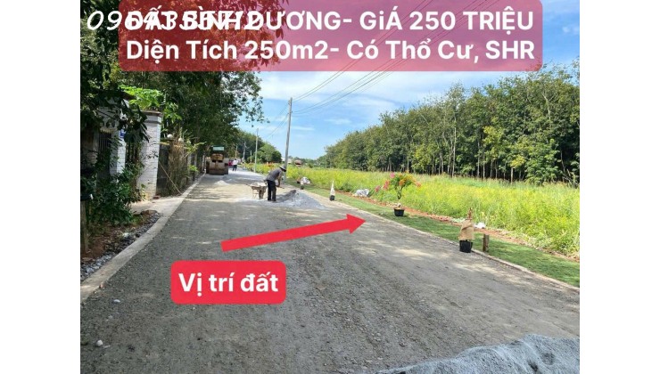 BÁN ĐẤT SỔ SẴN 250M2 TÂN LONG - PHÚ GIÁO - GIÁ 780 TRIỆU