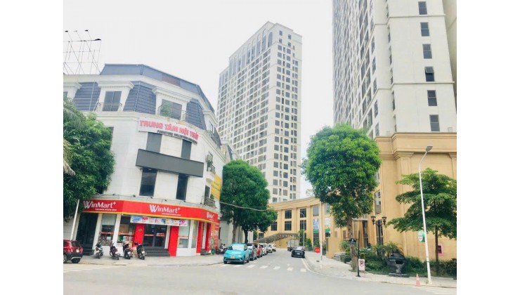 SHOPHOUSE,PENHOUSE VIC TOWER VĨNH YÊN