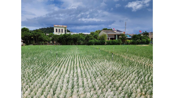 Bán đất trồng cây hàng năm tại đảo Lý Sơn, Quảng Ngãi giá siêu rẻ.