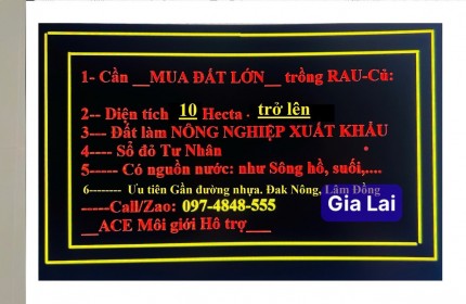 CẦN TÌM MUA ĐẤT LỚN: 10 (HECTA) - 300 (HECTA) QUANH KHU VỰC TP GIA NGHĨA. LH:0974848555.