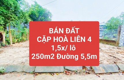 ✅✅1,6 TỶ/LÔ ⏩ CẶP ĐẤT LIỀN KỀ 1/2 NGÃ BA TÁI ĐỊNH CƯ HÒA LIÊN 4✅✅