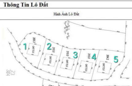 Cấn Bấn 5 lô  biệt thự F0 tại Kiên Thành- Lục Ngạn -Bắc Giang.