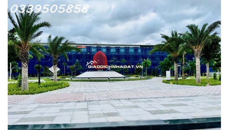 Tỏa Sáng Cùng Premium Ocean Gate: 386 ngôi nhà phố gần kề