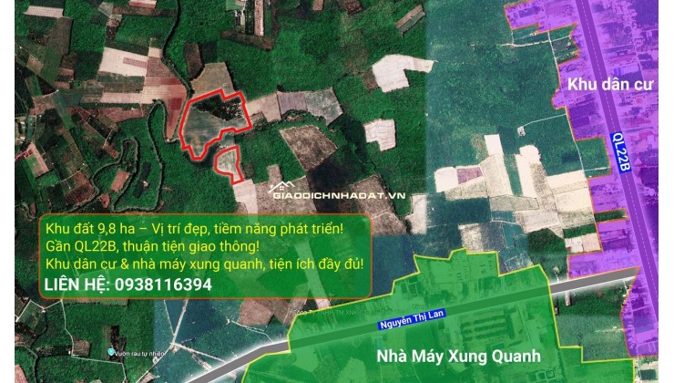 BÁN GẤP ĐẤT 9,8HA TÂY NINH – ĐÃ CHUYỂN ĐỔI ĐẤT SKC, CHỈ 31 TỶ