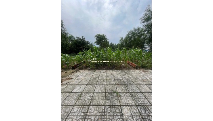 Bán đất Long Thọ, 125m², full thổ cư, mặt tiền đường lớn, 1/ Hùng Vương – Giá 3,2 tỷ