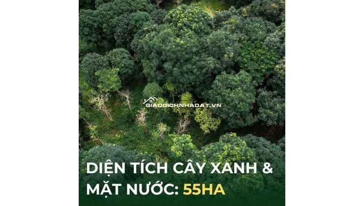 Khu Đô Thị Cảnh Quan Eco Retreat - Bến Lức, Long An