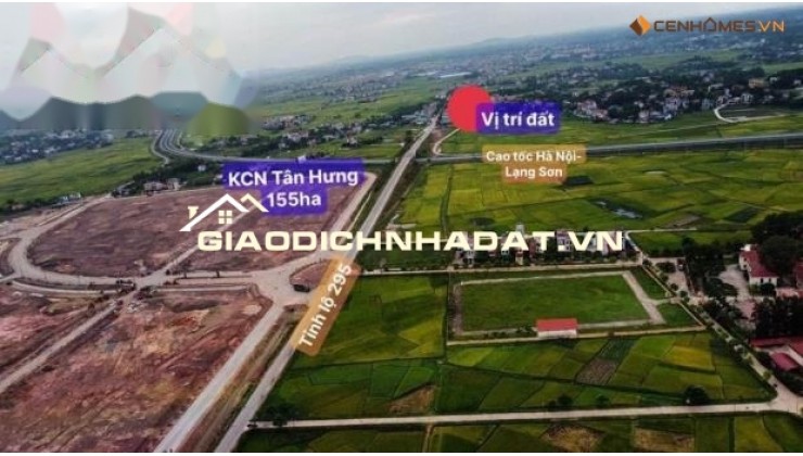 SHOPHOUSE & ĐẤT NỀN MẶT ĐƯỜNG ĐT295 - KCN TÂN HƯNG - LẠNG GIANG - BẮC GIANG Vị trí vàng - Tiện ích vượt trội - Đầu tư sinh lời cao