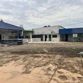 Cho thuê kho xưởng 1.200m2 đường số 45, Tân Thông Hội Củ Chi