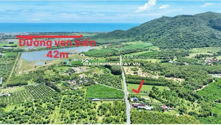 Cần bán nhanh lô góc hai mặt tiền thị trấn Phước Hải gần biển đường lớn tiện kinh doanh cho thuê