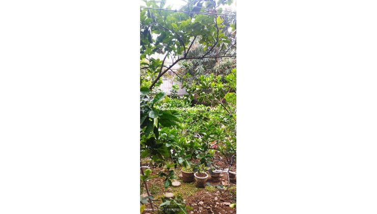 CƠ HỘI CHO NHÀ ĐẦU TƯ, CHÍNH CHỦ CẦN BÁN GẤP 60m2 Đất Phương Canh,3 thoáng, hàng F0