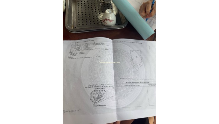 bán 700m đất trồng cây lâu năm tại Cổ Loa - Đông Anh - Hà Nội