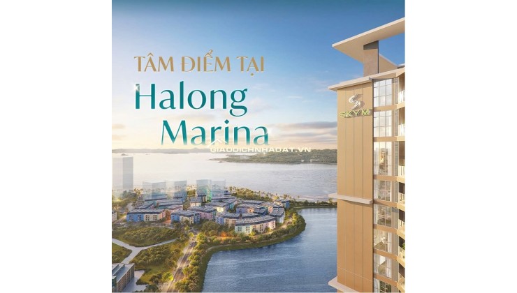 BÁN CĂN HỘ SKY M HẠ LONG - STUDIO - 31M2 - 1.5 TỶ - VỊ TRÍ VÀNG BÃI CHÁY