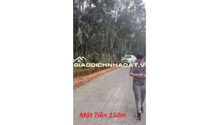 GIA ĐÌNH CHO CON VỀ SAIGON HỌC CẦN NHƯỢNG LẠI 55320M2 (5,5HA) ĐẤT LÂM NGHIỆP LH:0931351494