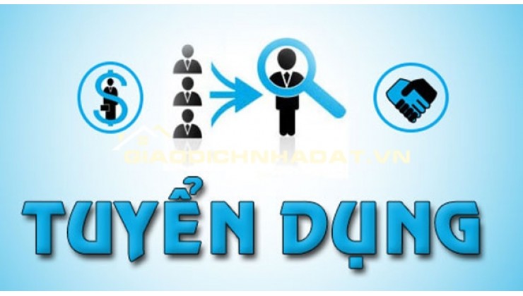 TUYỂN DỤNG CHUYÊN VIÊN KINH DOANH BẤT ĐỘNG SẢN TẠI ĐÀ NẴNG - CÔNG TY CỔ PHẦN TUẤN 123 MIỀN TRUNG.