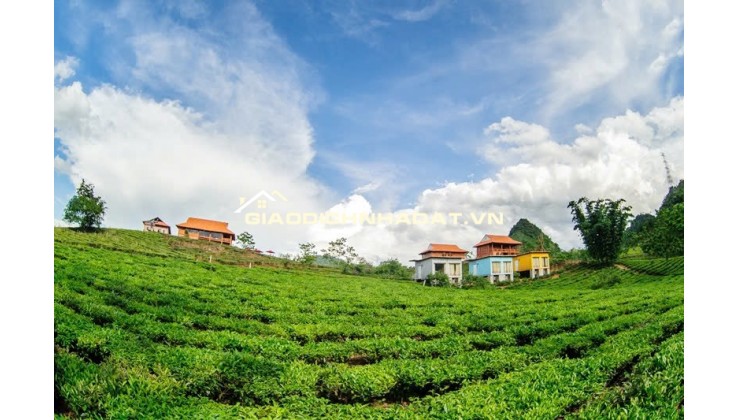 CHÍNH CHỦ CẦN VỐN KINH DOANH BÁN ĐẤT TẠI MỘC CHÂU SƠN LA