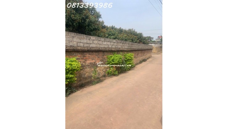 Siêu phẩm đất nền trung tâm Chu Điện lỤC NAM Bắc Giang, giá chỉ hơn 3 triệu/m², pháp lý rõ ràng