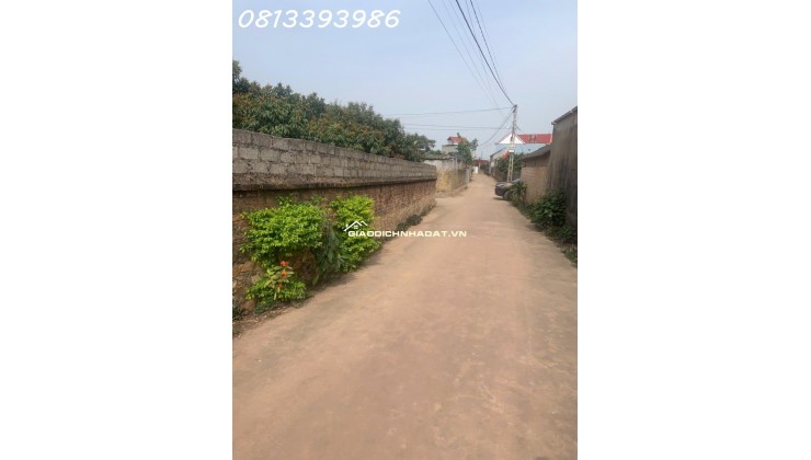 Siêu phẩm đất nền trung tâm Chu Điện lỤC NAM Bắc Giang, giá chỉ hơn 3 triệu/m², pháp lý rõ ràng