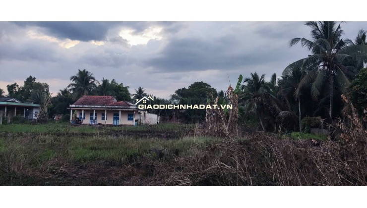 BÁN ĐẤT ẤP 3 NHỊ THÀNH THỦ THỪA LONG AN -HƠN 3.300M2 CÓ 1400M2 THỔ CƯ - GẦN 7 TỶ