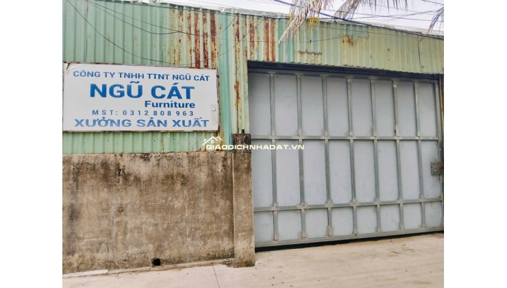 BÁN XƯỞNG ĐANG CHO THUÊ - HẺM XE HƠI - NHỊ BÌNH, HÓC MÔN - DIỆN TÍCH LỚN - GIÁ CHỈ 11 TỶ