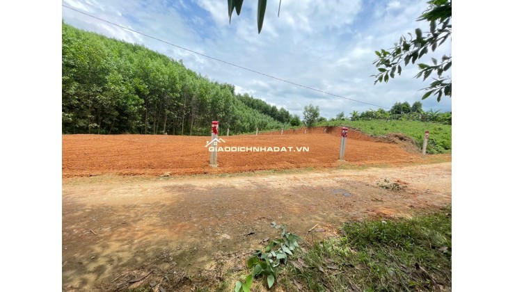 BÁN LOCK 5 LÔ KHÁNH ĐÔNG, KHÁNH VĨNH, KHÁNH HÒA FULL THỔ DÂN ĐÔNG 2 ĐẦU, ĐƯỜNG Ô TÔ TẬN ĐẤT
