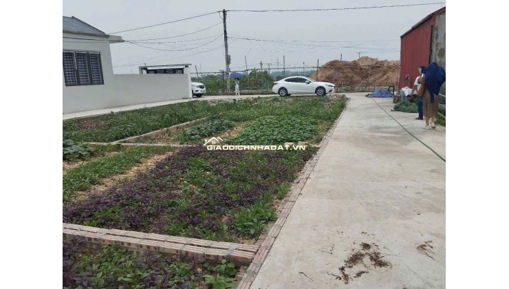 CẦN BÁN LÔ ĐẤT TẠI QUẾ SƠN - TÂN ƯỚC - THANH OAI