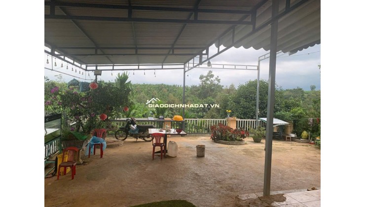 - Bán Lô Đất Nghỉ Dưỡng Đẹp Như Tranh Tại Lộc An – View Hồ – Có Sẵn Nhà, Vườn Trái Cây
