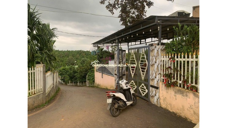 - Bán Lô Đất Nghỉ Dưỡng Đẹp Như Tranh Tại Lộc An – View Hồ – Có Sẵn Nhà, Vườn Trái Cây