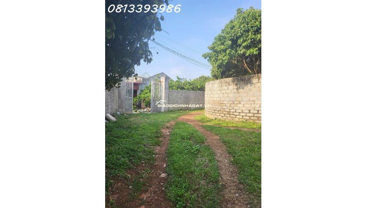  Đất nền giá sốc dưới 500 triệu gần khu công nghiệp lớn