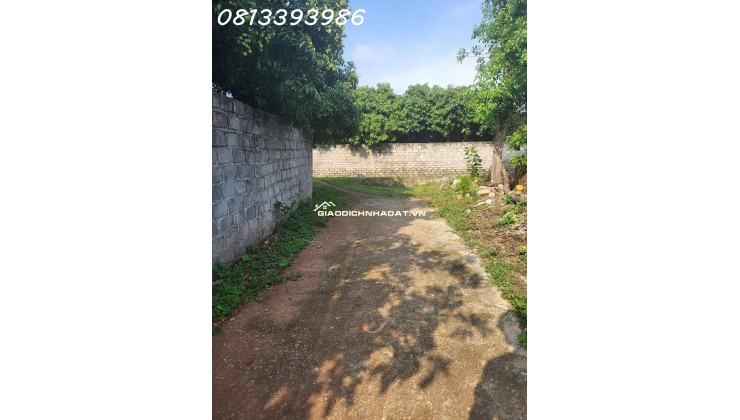 Đất nền giá sốc dưới 500 triệu gần khu công nghiệp lớn