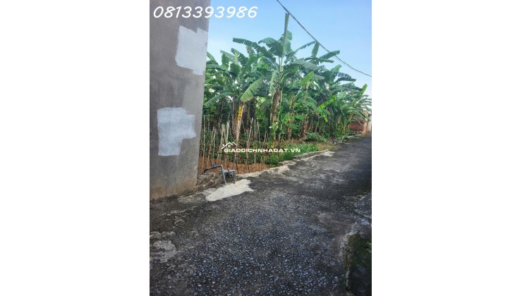  Bán Gấp Lô Đất 120m² Gần KCN – Giá Cực Mềm, Sổ Sẵn, Xây Ngay!