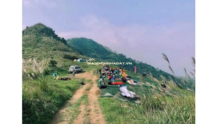 Bán đất khu vực Đồi Bù, Núi Bé, Chương Mỹ, Hà Nội. Dt 1700m có 300 ont, giá 7,5 tỷ.