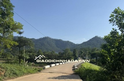 CẦN BÁN GẤP NHÀ NGHỈ DƯỠNG TÂM HUYẾT TẠI ĐÔ LƯƠNG, SÓC SƠN – DIỆN TÍCH 1.440M²