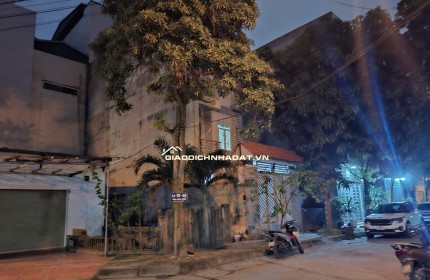NGỌC THỤY nhỉnh 20 tỷ 80m KHU NHÀ VỈA HÈ PHÂN LÔ Ô TÔ,LONG BIÊN HÀ NỘI