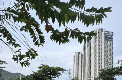 BÁN NHÀ 2 TẦNG MẶT TIỀN ĐƯỜNG PHẠM VĂN ĐỒNG - VĨNH HOÀ NHA TRANG 6TY2