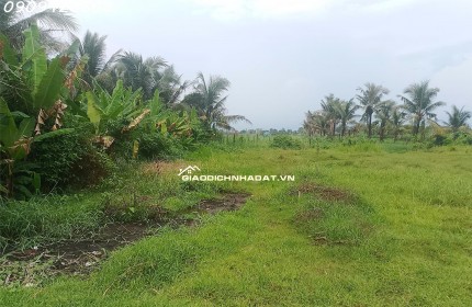 BÁN MIẾNG ĐẤT ĐẸP 355M² FULL THỔ – NGAY ĐỨC LẬP THƯỢNG – GIÁ CHỈ 1 TỶ 950 TRIỆU