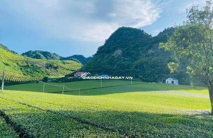 CHÍNH CHỦ CẦN VỐN KINH DOANH BÁN ĐẤT TẠI MỘC CHÂU SƠN LA