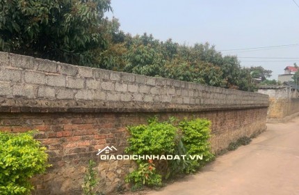 Đất nền Chu Điện gần chợ, gần đường lớn, đầu tư sinh lời cao, giá cực mềm