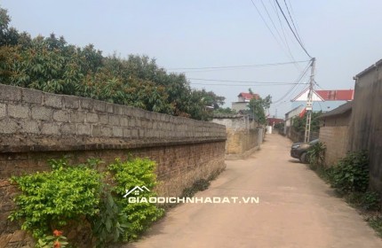 Siêu phẩm đất nền trung tâm Chu Điện lỤC NAM Bắc Giang, giá chỉ hơn 3 triệu/m², pháp lý rõ ràng