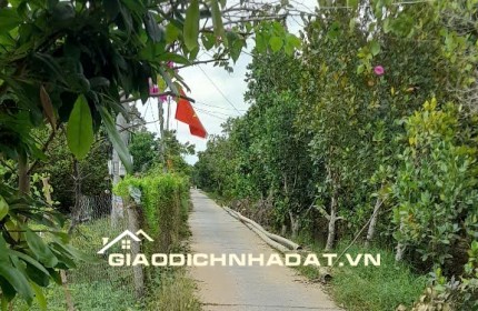 CẦN BÁN GẤP MẢNH VƯỜN SẦU RIÊNG CÂY LỚN – ĐANG CHỜ RA TRÁI!