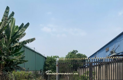 Chính chủ cần bán đất 34/21 Đường Cây Bài - Ấp5-Xã Phước Vĩnh An - Củ Chi- TPHCM