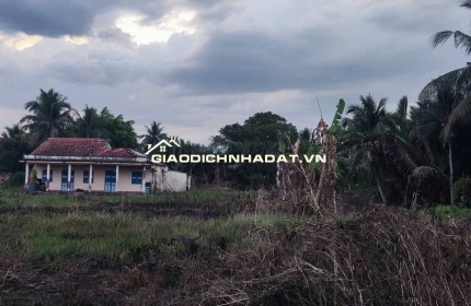 BÁN ĐẤT ẤP 3 NHỊ THÀNH THỦ THỪA LONG AN -HƠN 3.300M2 CÓ 1400M2 THỔ CƯ - GẦN 7 TỶ